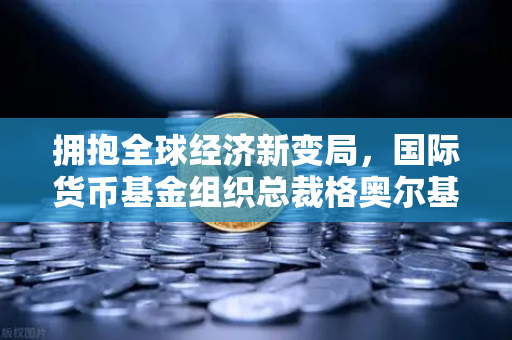 拥抱全球经济新变局，国际货币基金组织总裁格奥尔基耶娃新年致辞深度解读