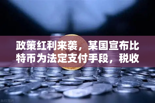 政策红利来袭，某国宣布比特币为法定支付手段，税收全免，数字资产新时代已至