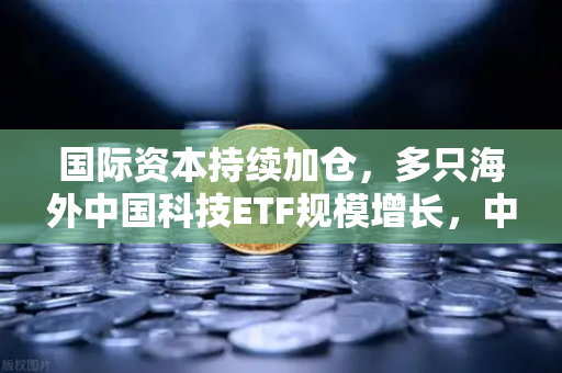 国际资本持续加仓，多只海外中国科技ETF规模增长，中概股与加密资产联动