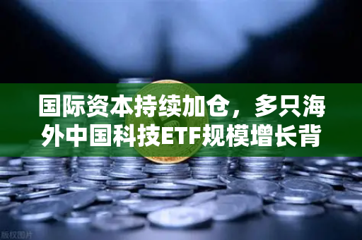 国际资本持续加仓，多只海外中国科技ETF规模增长背后的投资逻辑
