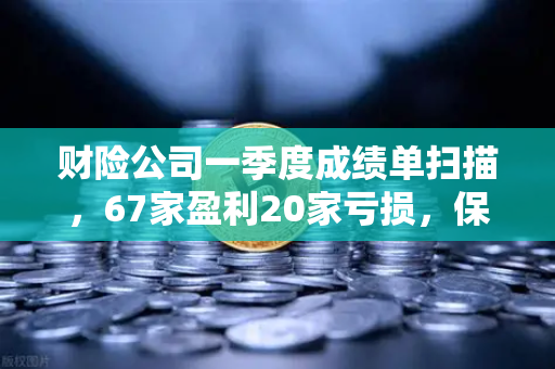 财险公司一季度成绩单扫描，67家盈利20家亏损，保险资金入市偏好浮出水面