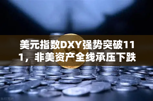 美元指数DXY强势突破111，非美资产全线承压下跌，投资者何去何从？-第1张图片-欧易交易所