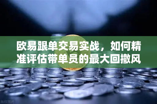 欧易跟单交易实战，如何精准评估带单员的最大回撤风险？