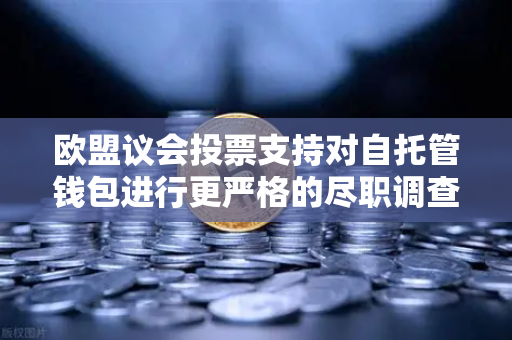 欧盟议会投票支持对自托管钱包进行更严格的尽职调查，加密货币监管新篇章