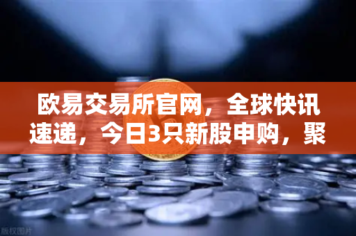欧易交易所官网，全球快讯速递，今日3只新股申购，聚焦民用制冰机龙头投资机遇-第1张图片-欧易交易所