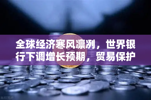 全球经济寒风凛冽，世界银行下调增长预期，贸易保护主义抬头下的投资新思考