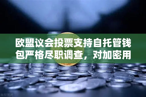欧盟议会投票支持自托管钱包严格尽职调查，对加密用户意味着什么？