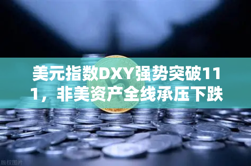 美元指数DXY强势突破111，非美资产全线承压下跌，全球金融市场震荡加剧
