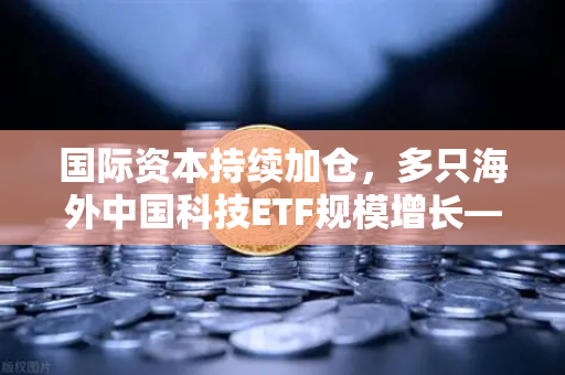 国际资本持续加仓，多只海外中国科技ETF规模增长—合规交易平台成关键枢纽-第1张图片-欧易交易所