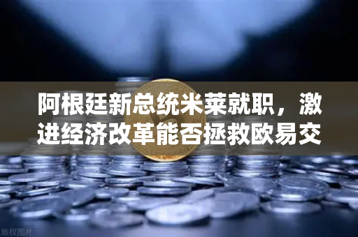 阿根廷新总统米莱就职,激进经济改革能否拯救欧易交易所背后的全球金融焦虑?-第1张图片-欧易交易所 阿根廷新总统米莱就职,激进经济改革能否拯救欧易交易所背后的全球金融焦虑?-第1张图片-欧易交易所