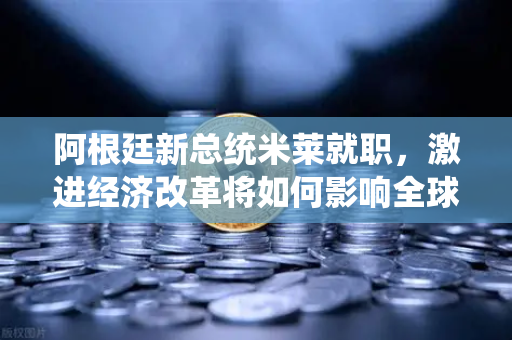 阿根廷新总统米莱就职，激进经济改革将如何影响全球市场？
