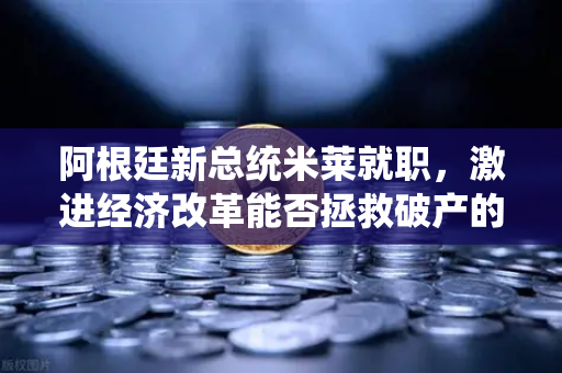 阿根廷新总统米莱就职，激进经济改革能否拯救破产的国家？