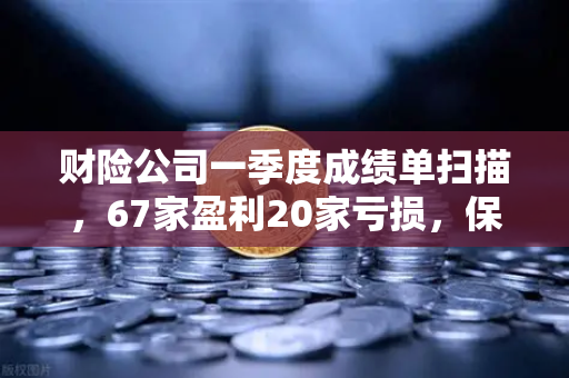 财险公司一季度成绩单扫描，67家盈利20家亏损，保险资金入市偏好有何新动向？