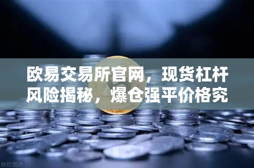 欧易交易所官网，现货杠杆风险揭秘，爆仓强平价格究竟如何算出？