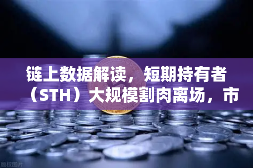 链上数据解读,短期持有者(STH)大规模割肉离场,市场底在何方?-第1张图片-欧易交易所 链上数据解读,短期持有者(STH)大规模割肉离场,市场底在何方?-第1张图片-欧易交易所