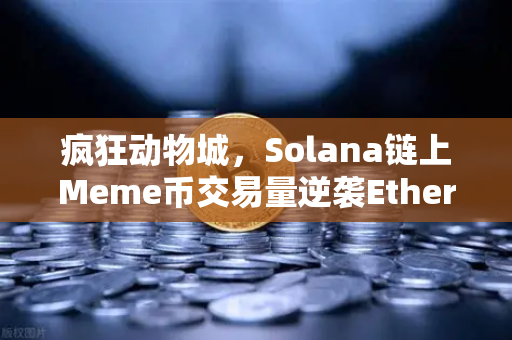 疯狂动物城，Solana链上Meme币交易量逆袭Ethereum，板块轮动加速你上车了吗？
