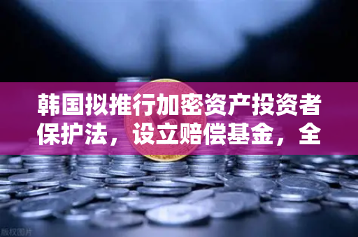 韩国拟推行加密资产投资者保护法，设立赔偿基金，全球监管新标杆-第1张图片-欧易交易所