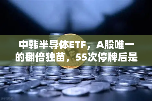 中韩半导体ETF，A股唯一的翻倍独苗，55次停牌后是机会还是陷阱？