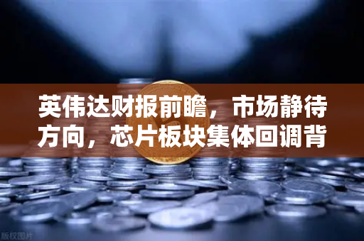英伟达财报前瞻，市场静待方向，芯片板块集体回调背后的真相-第1张图片-欧易交易所