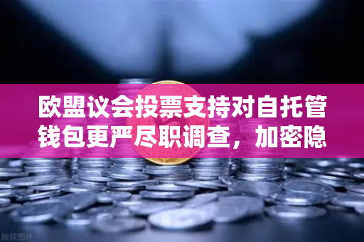 欧盟议会投票支持对自托管钱包更严尽职调查，加密隐私的新拐点？
