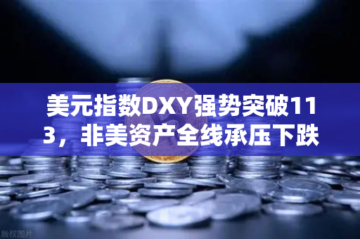 美元指数DXY强势突破113，非美资产全线承压下跌，投资者如何应对风暴？