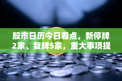 股市日历今日看点，新停牌2家、复牌5家，重大事项提醒与操作策略全解析