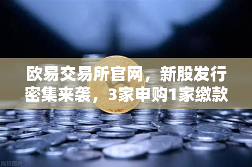 欧易交易所官网，新股发行密集来袭，3家申购1家缴款1家上市，投资者如何布局？-第1张图片-欧易交易所