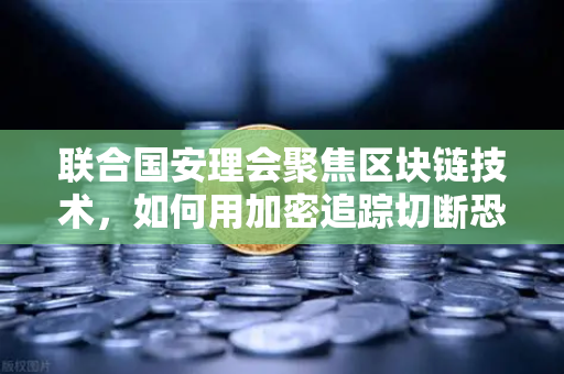 联合国安理会聚焦区块链技术，如何用加密追踪切断恐怖融资链条？-第1张图片-欧易交易所