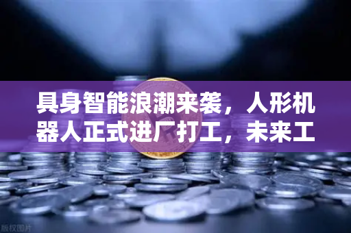 具身智能浪潮来袭，人形机器人正式进厂打工，未来工厂长这样