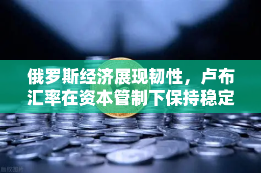 俄罗斯经济展现韧性，卢布汇率在资本管制下保持稳定，全球市场新变局解析
