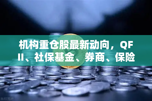 机构重仓股最新动向，QFII、社保基金、券商、保险扎堆这些涉币概念股-第1张图片-欧易交易所
