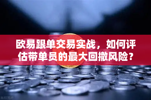 欧易跟单交易实战，如何评估带单员的最大回撤风险？避免爆仓的生存指南-第1张图片-欧易交易所