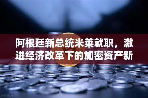 阿根廷新总统米莱就职，激进经济改革下的加密资产新机遇
