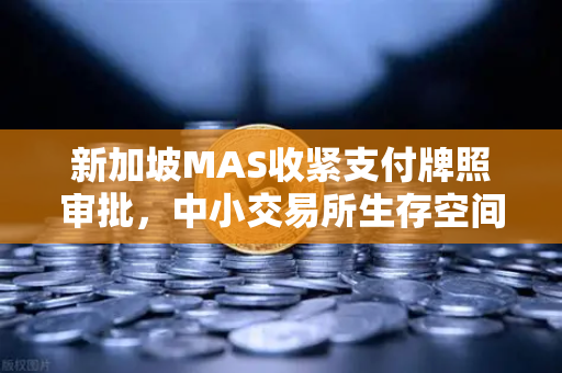 新加坡MAS收紧支付牌照审批，中小交易所生存空间压缩—欧易交易所如何突围？-第1张图片-欧易交易所