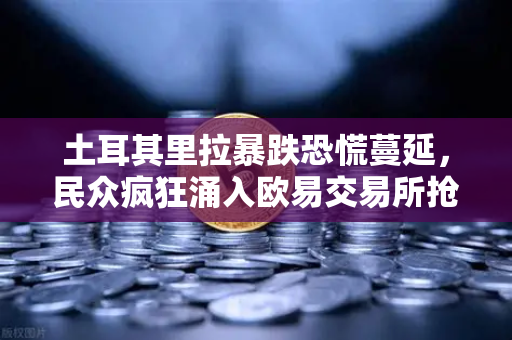 土耳其里拉暴跌恐慌蔓延，民众疯狂涌入欧易交易所抢购美元与比特币