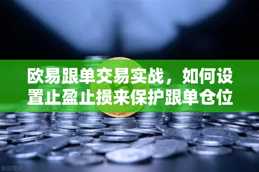 欧易跟单交易实战，如何设置止盈止损来保护跟单仓位？-第1张图片-欧易交易所