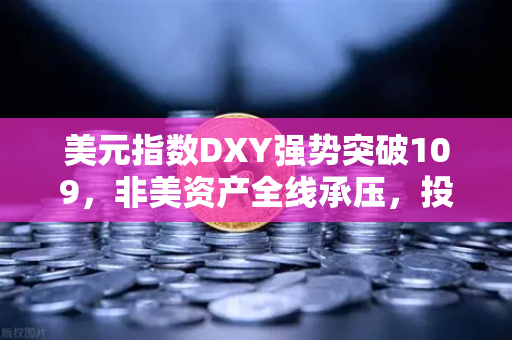 美元指数DXY强势突破109，非美资产全线承压，投资者该如何应对？-第1张图片-欧易交易所
