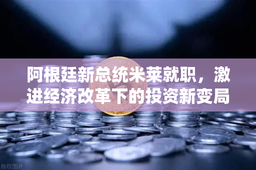 阿根廷新总统米莱就职，激进经济改革下的投资新变局-第1张图片-欧易交易所