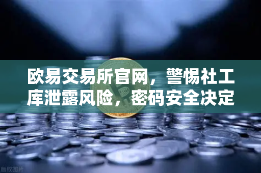 欧易交易所官网，警惕社工库泄露风险，密码安全决定你的资产命运