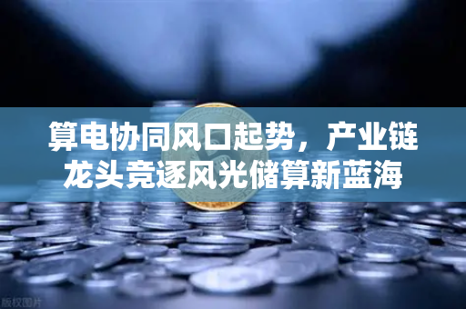 算电协同风口起势，产业链龙头竞逐风光储算新蓝海