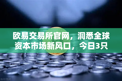 欧易交易所官网，洞悉全球资本市场新风口，今日3只新股申购引关注