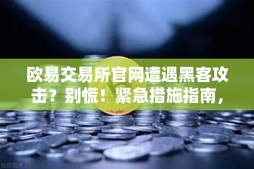 欧易交易所官网遭遇黑客攻击？别慌！紧急措施指南，联系Immunefi白帽救援