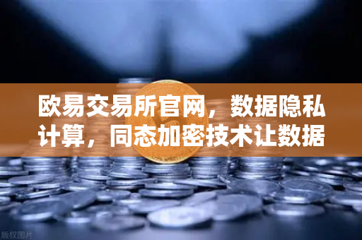 欧易交易所官网,数据隐私计算,同态加密技术让数据可用不可见-第1张图片-欧易交易所 欧易交易所官网,数据隐私计算,同态加密技术让数据可用不可见-第1张图片-欧易交易所