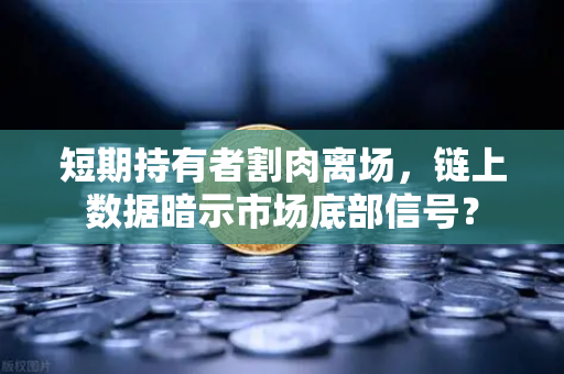 短期持有者割肉离场，链上数据暗示市场底部信号？