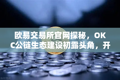 欧易交易所官网探秘,OKC公链生态建设初露头角,开发者激励计划第二期正式开启-第1张图片-欧易交易所 欧易交易所官网探秘,OKC公链生态建设初露头角,开发者激励计划第二期正式开启-第1张图片-欧易交易所