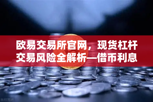 欧易交易所官网,现货杠杆交易风险全解析—借币利息到底怎么算?-第1张图片-欧易交易所 欧易交易所官网,现货杠杆交易风险全解析—借币利息到底怎么算?-第1张图片-欧易交易所