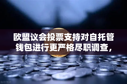 欧盟议会投票支持对自托管钱包进行更严格尽职调查,加密世界的新变局-第1张图片-欧易交易所 欧盟议会投票支持对自托管钱包进行更严格尽职调查,加密世界的新变局-第1张图片-欧易交易所