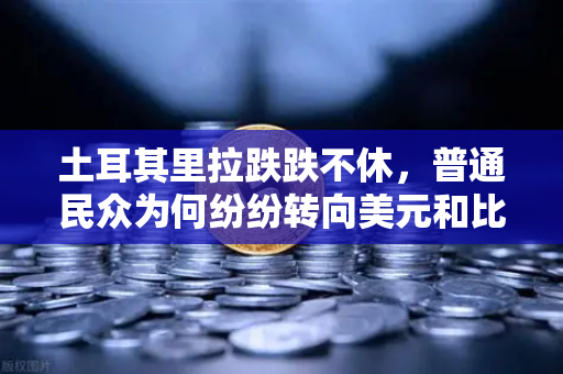 土耳其里拉跌跌不休，普通民众为何纷纷转向美元和比特币？