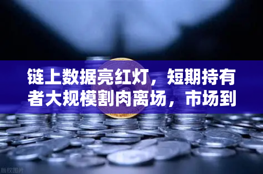 链上数据亮红灯，短期持有者大规模割肉离场，市场到底怎么了？