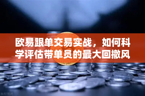 欧易跟单交易实战，如何科学评估带单员的最大回撤风险？